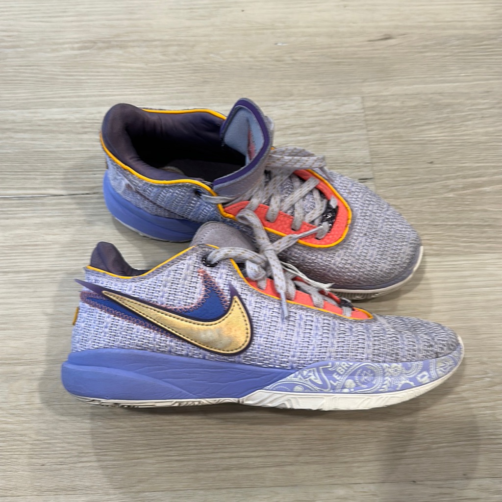 Lebron Xx